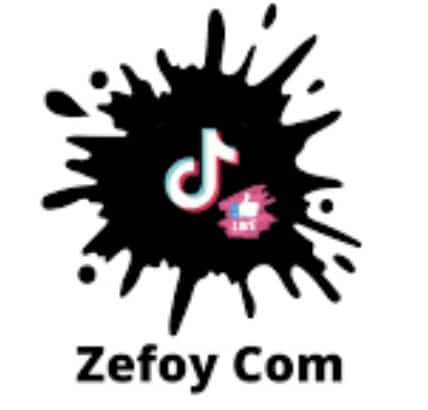 zefoy com