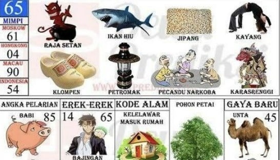 erek erek 65
