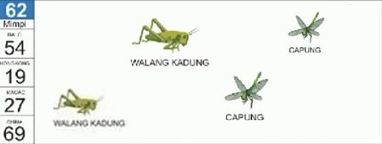 kode alam belalang