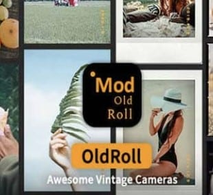 old roll mod apk