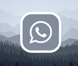 ogwhatsapp pro mod apk