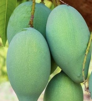 arti mimpi kejatuhan buah