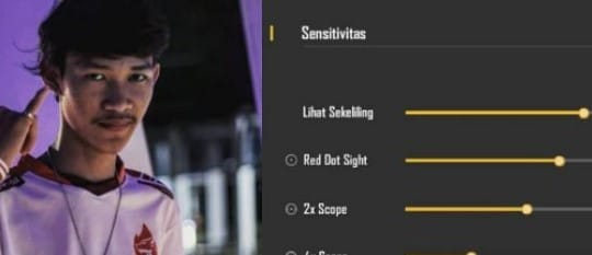 Setting Sensitivitas FF
