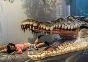 arti mimpi dimakan buaya