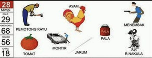 kode alam jarum