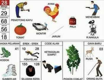 kode alam jarum