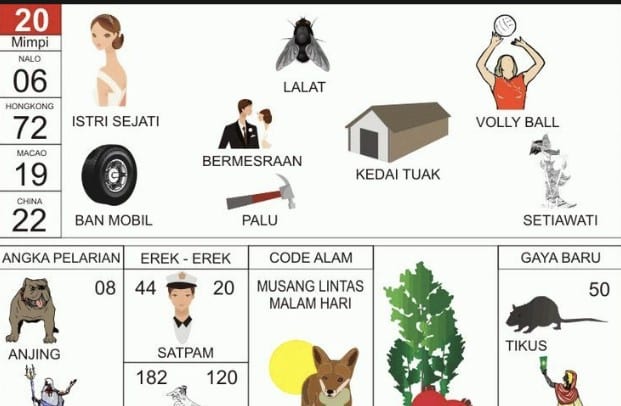 erek erek 20