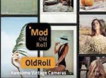 old roll mod apk