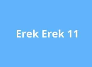 erek erek 11