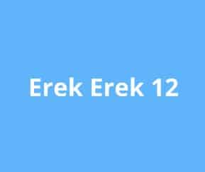 erek erek 12