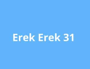 erek erek 31