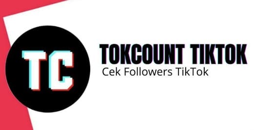 tokcount tiktok mod apk