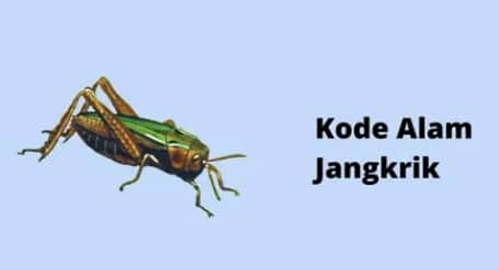 kode alam jangkrik